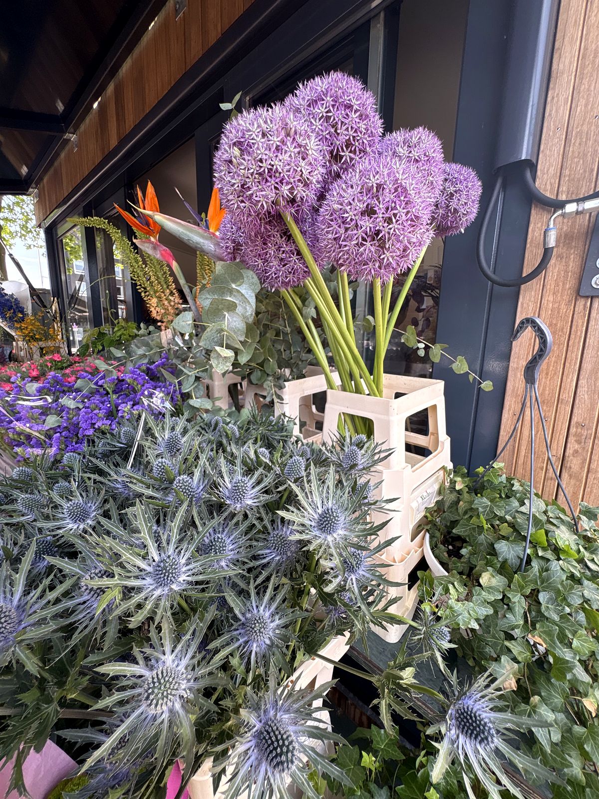 Allium en distels